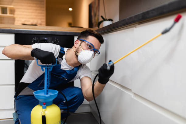 Best Cockroach Control Services  in Norwalk, OH