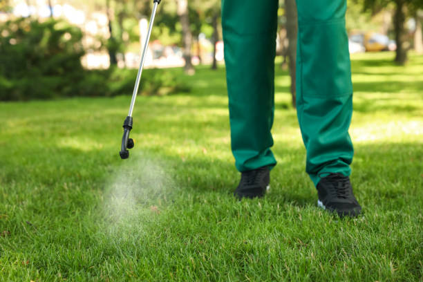 Insect Control in Norwalk, OH