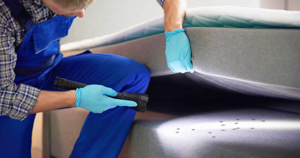 Trusted Norwalk, OH Pest Control Experts