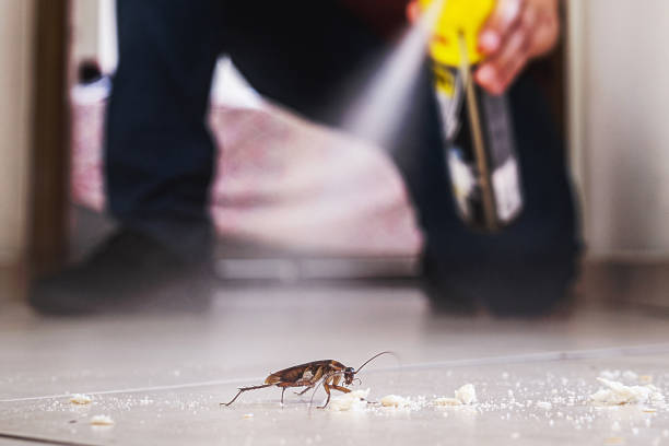 Norwalk, OH Pest Control Company